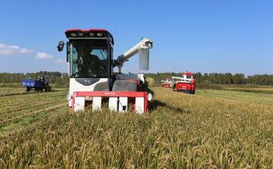 美国热衷粮食出口,宁愿贴钱也要卖给中国?背后果然另有目的