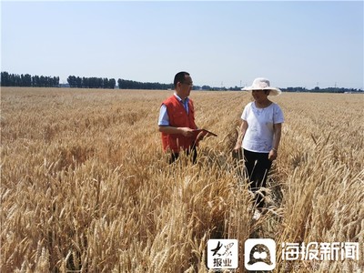 广饶农商银行多举并措助力夏粮丰收