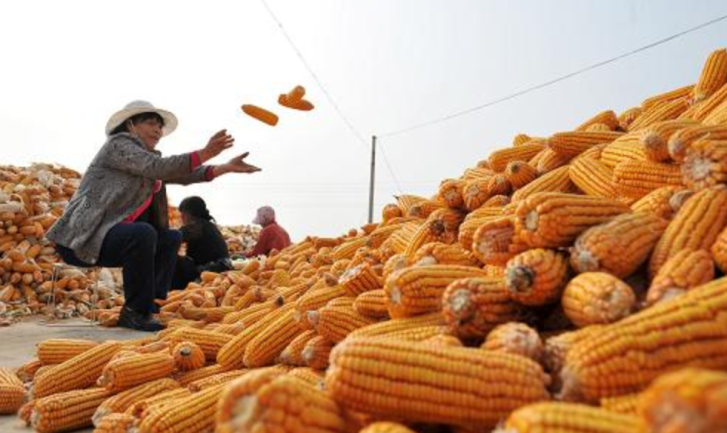 世界动荡不安,却有人大发横财?“四大粮商”手握70亿人的饭碗?