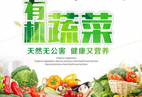 刘璧闻 湖南长沙烩嘟美食旗下品牌 楚湘美食文化