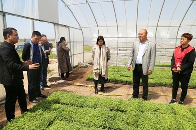 开封市工商联赴祥符区开展村企结对调研活动