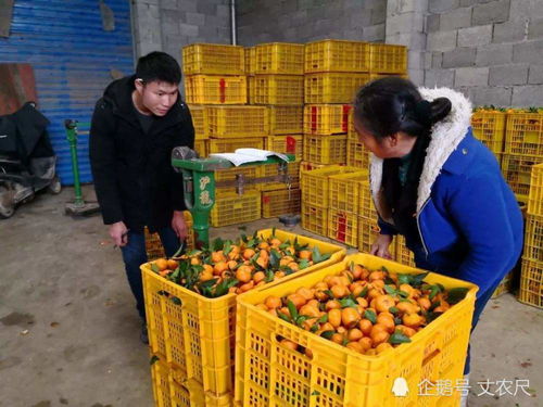 关税大幅减免 15国签下自贸协定,对我国农副产品,是福还是祸