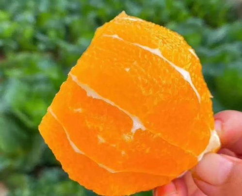 这个直播间内外 橙意 满满