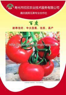 预定种苗 蔬菜种子销售_农副产品_世界工厂网